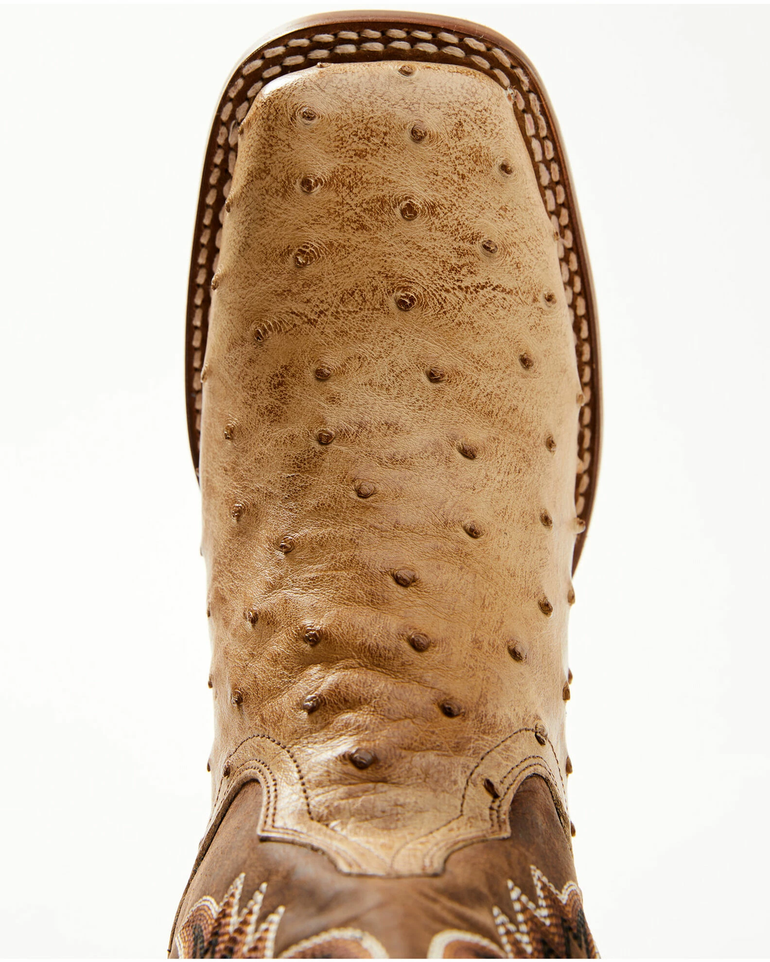 Dan Post Women's Nicotine FQ Ostrich Print Exotic Western Boots - Broad Square Toe 8 Dan Post Women's Nicotine FQ Ostrich Print Exotic Western Boots - Broad Square Toe - Image 6